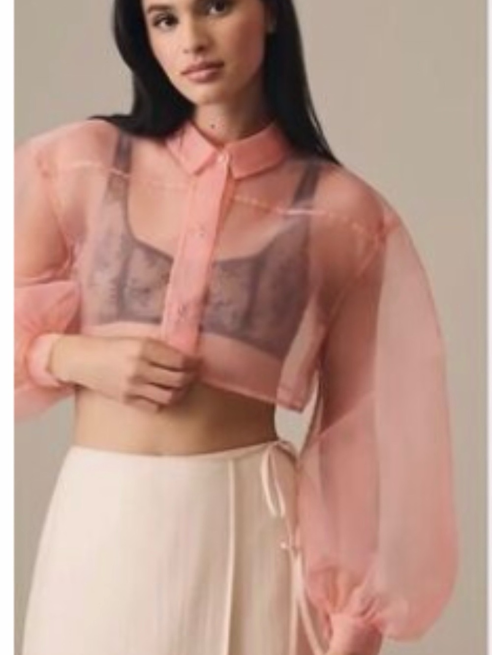 Anthropologie Sheer Blush Pink Cropped Button-Up Top